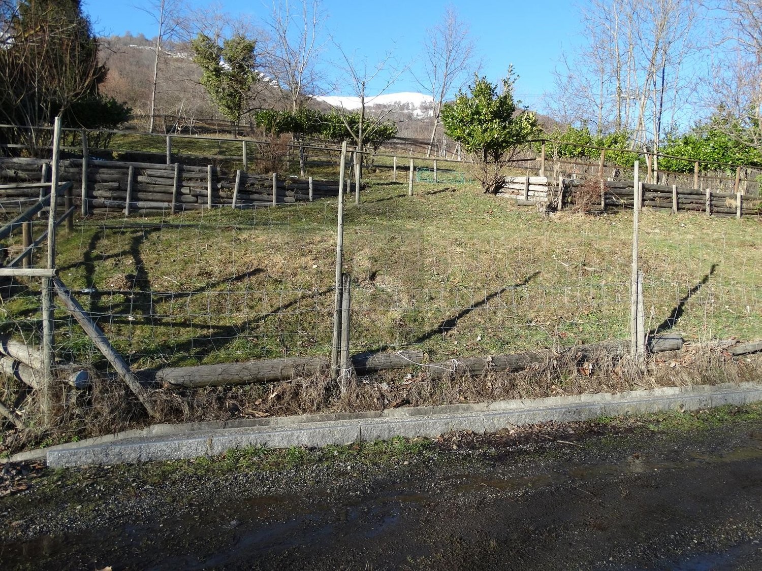 1771m² agricultural land, photo 4 of 4