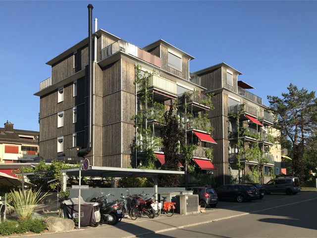 1 room apartment