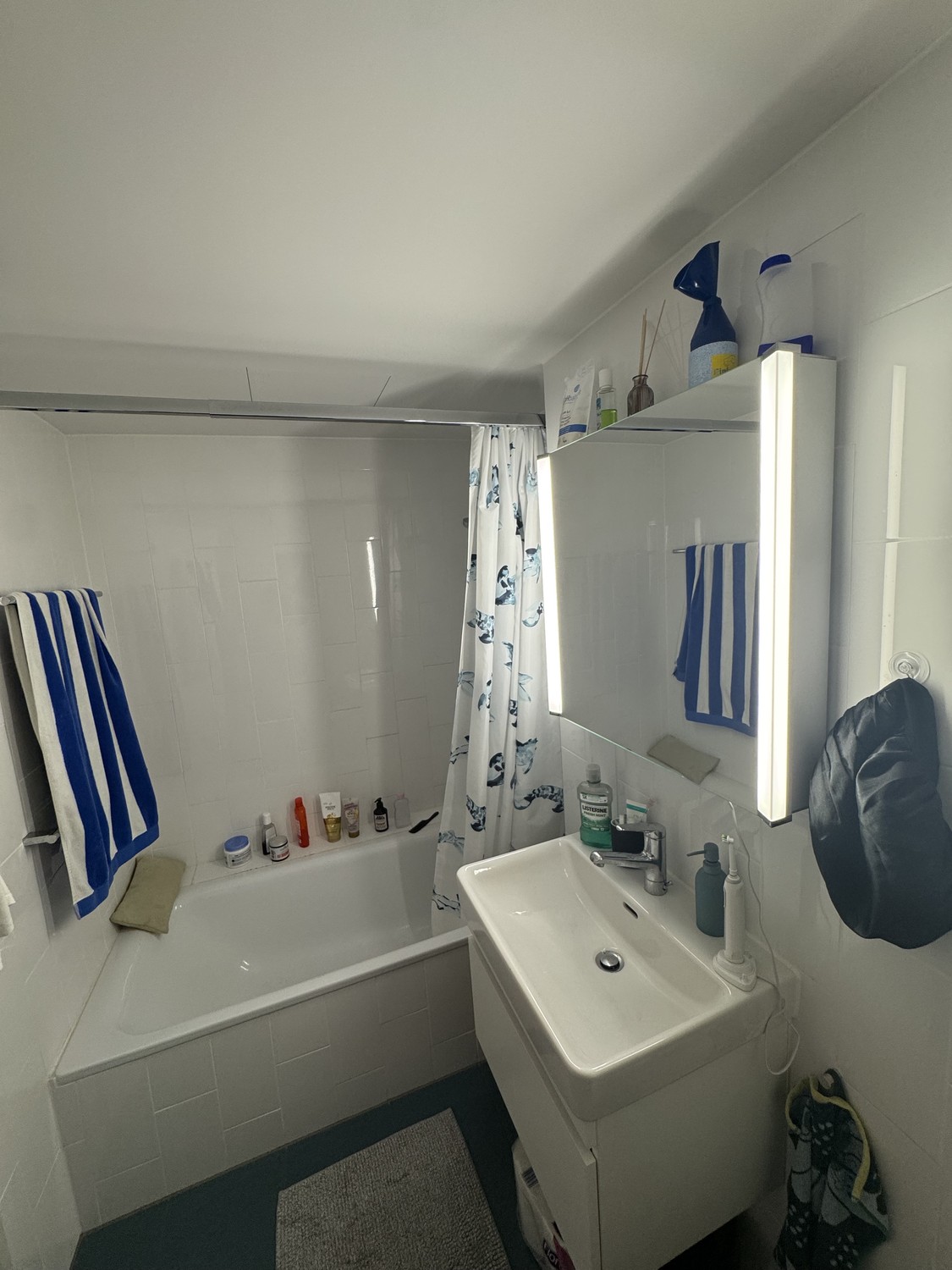 2 ½ rooms apartment