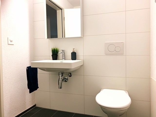 Appartement de 3 ½ pièces