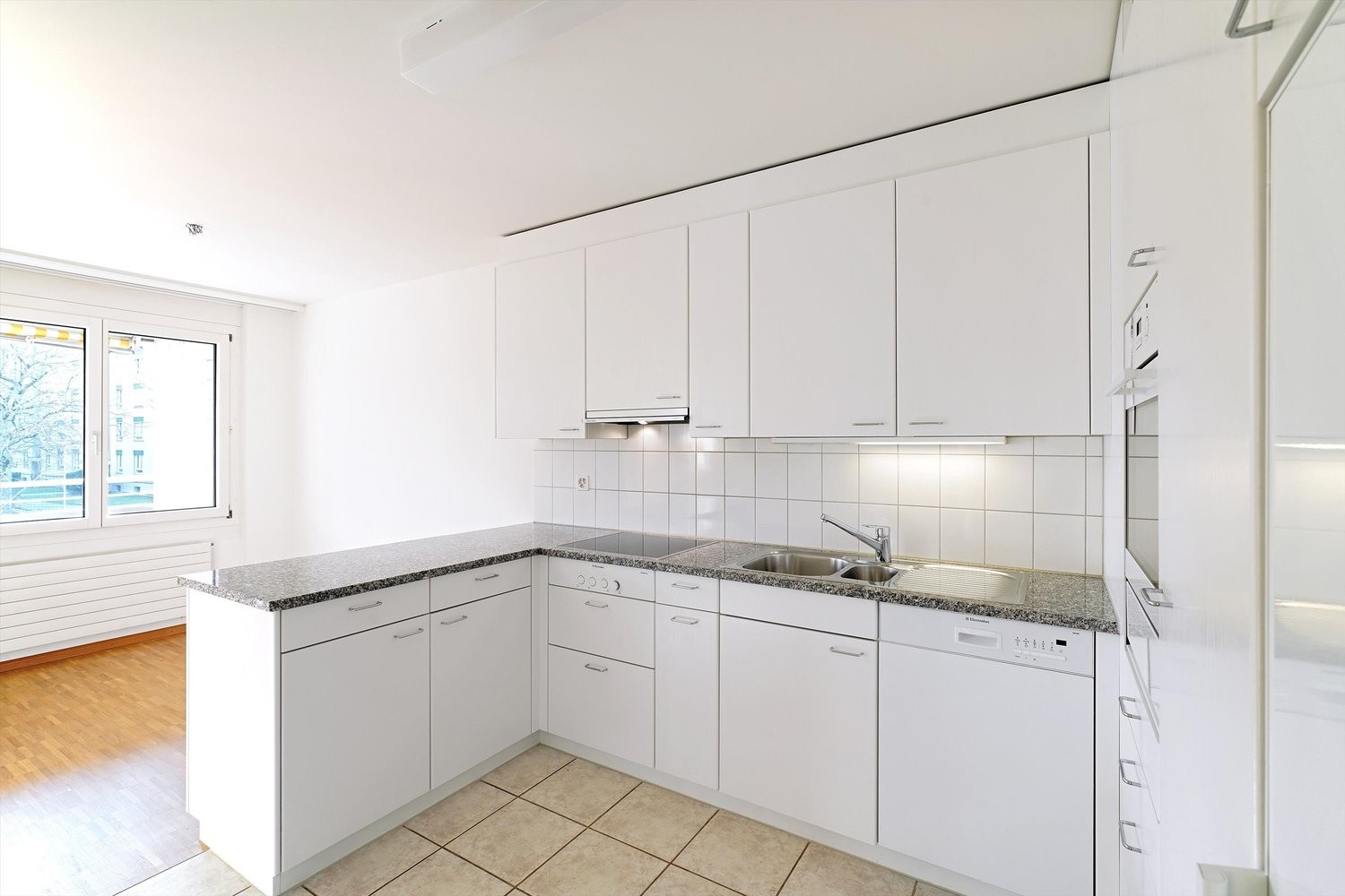 4 ½ rooms apartment (4)