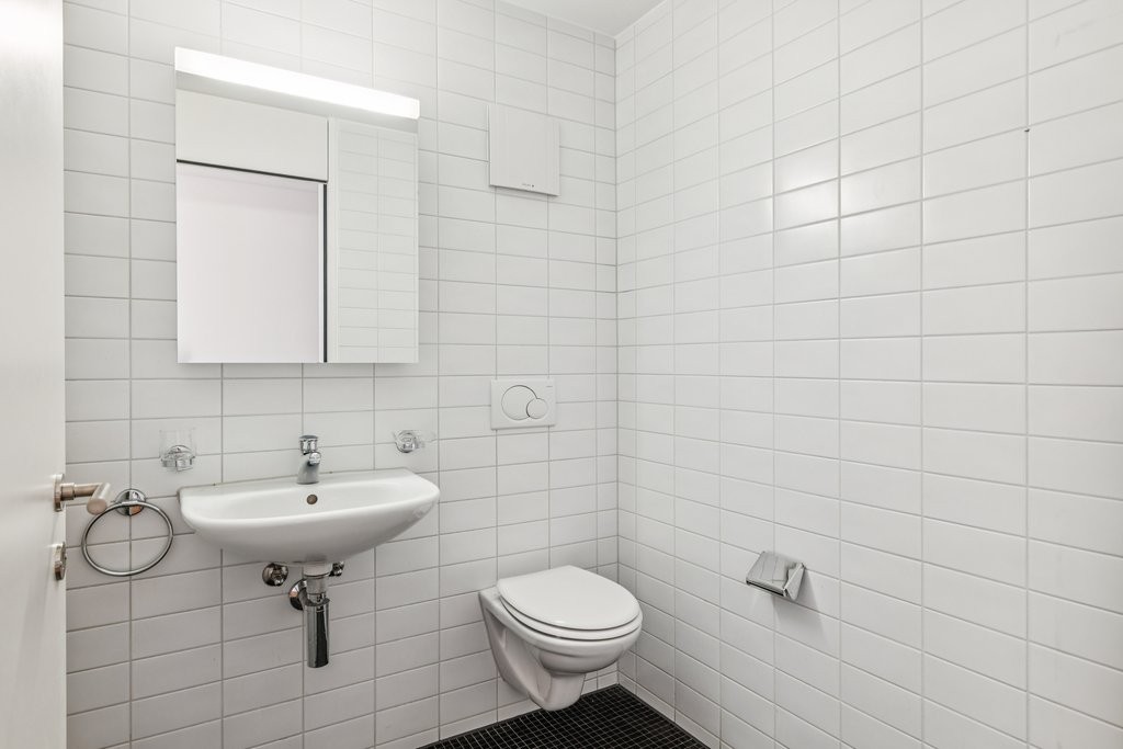 Appartement 3 ½ pièces