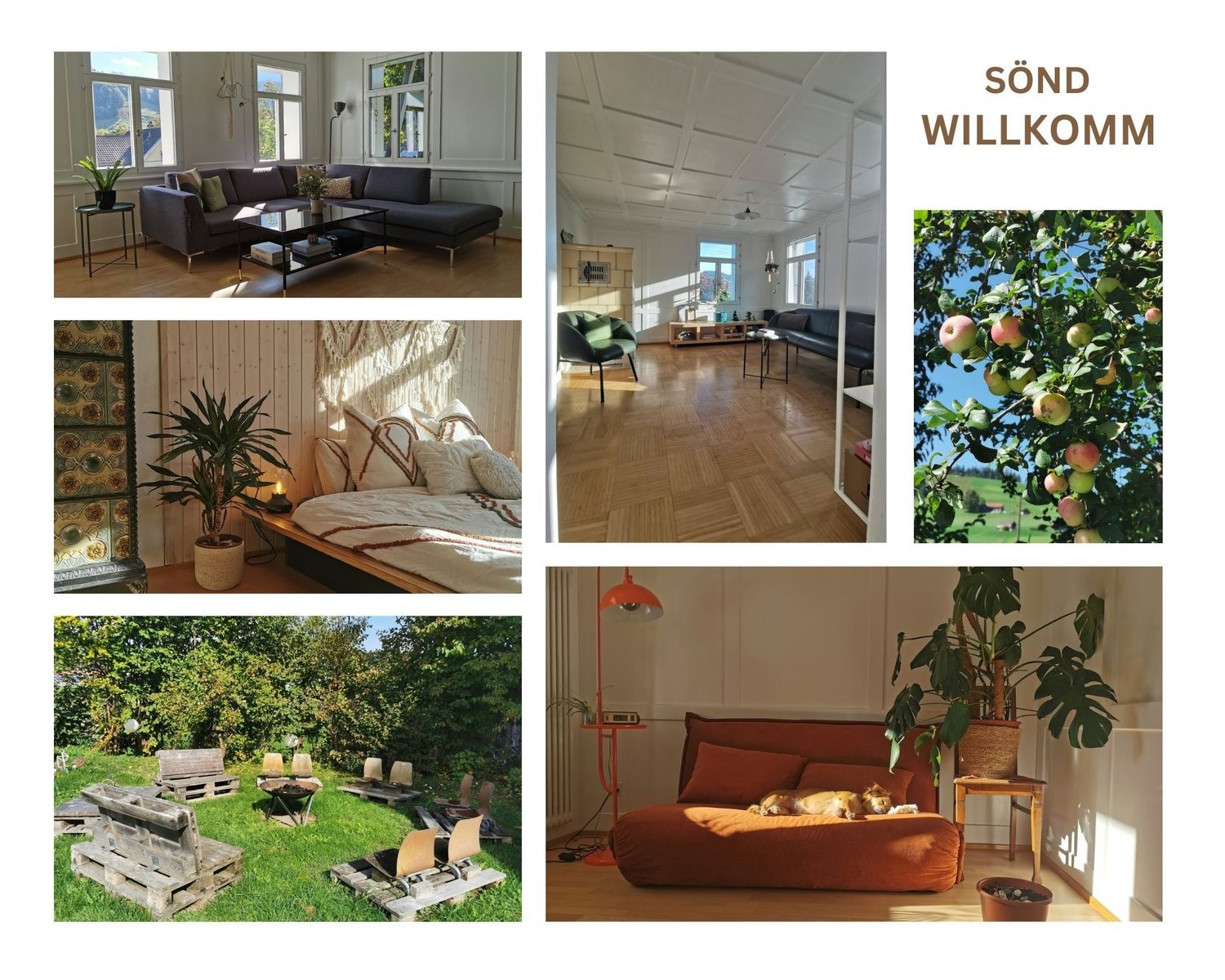 Appartement meublé de 7 ½ pièces