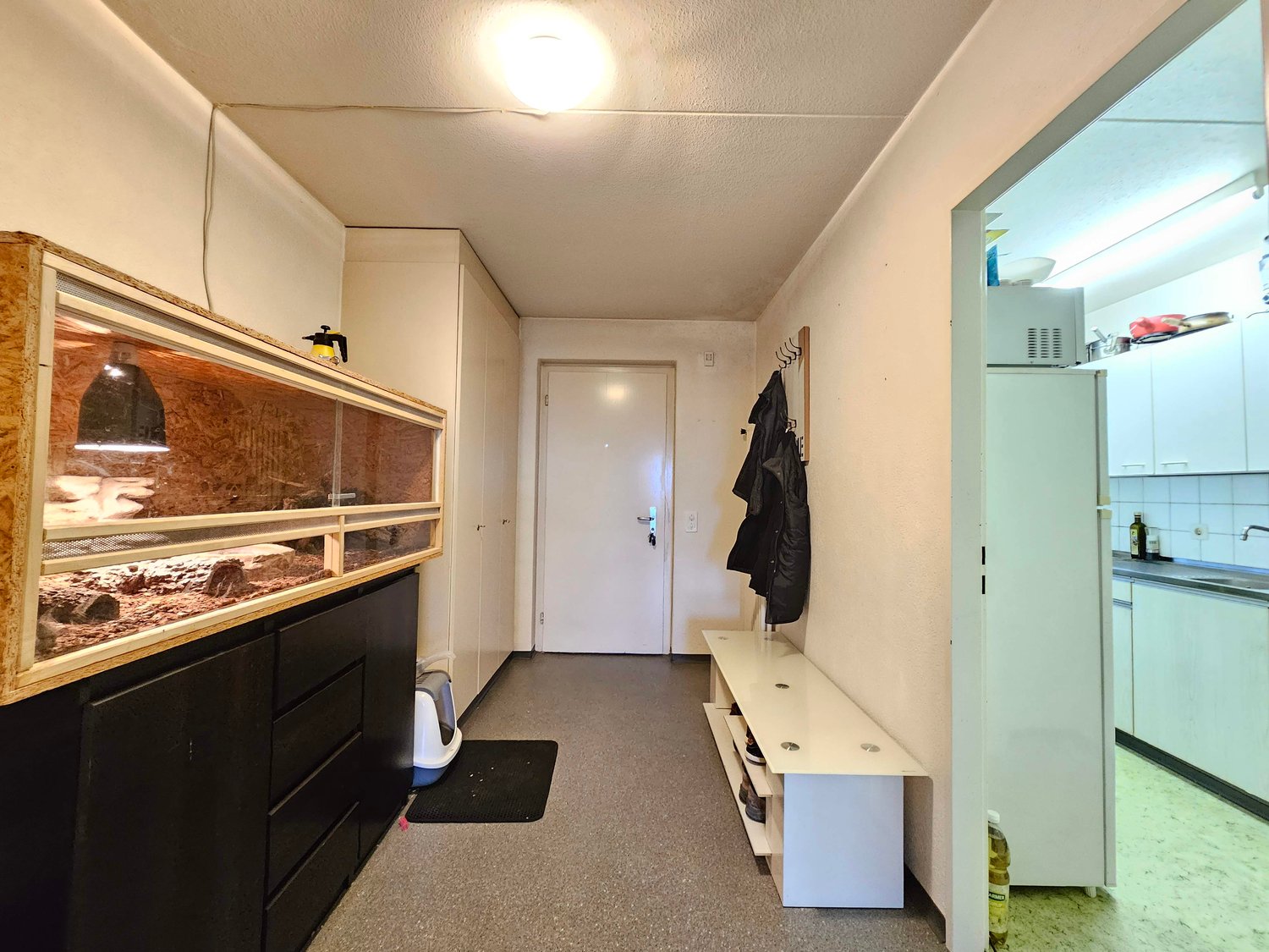 2 ½ pièces appartement