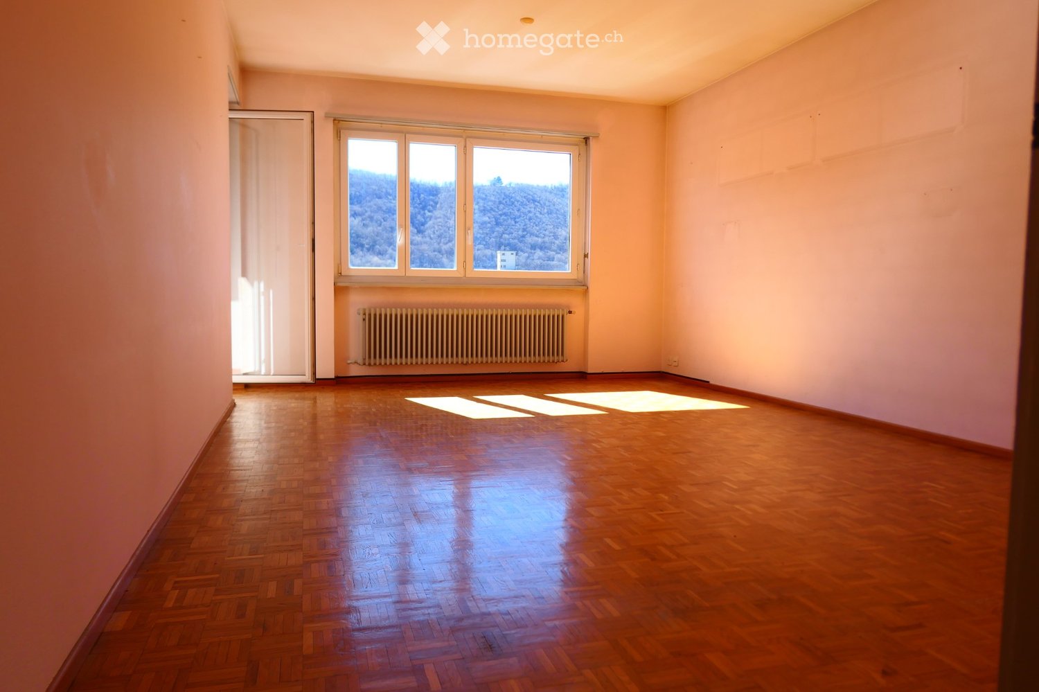 2 ½ rooms apartment, photo 2 of 5