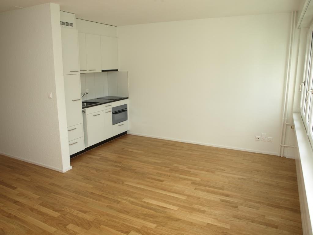 1 room apartment, photo 3 of 6