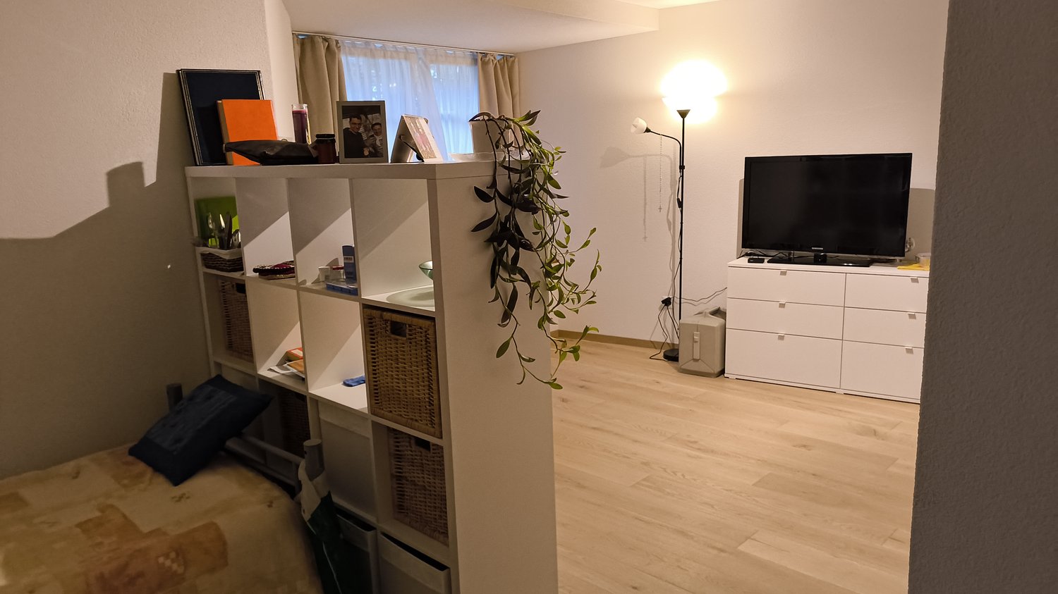 Room in a shared flat