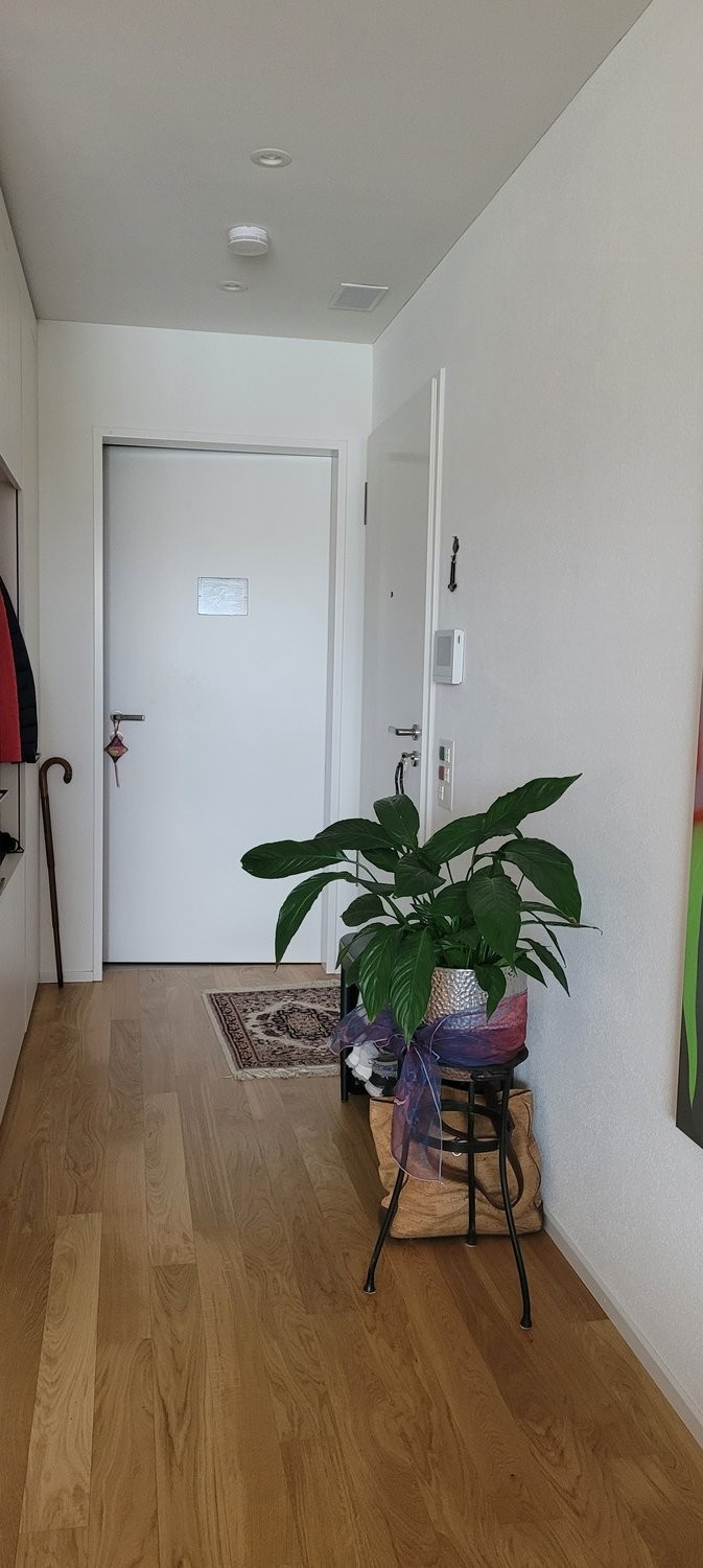 2 ½ rooms furnished flat, photo 7 of 7