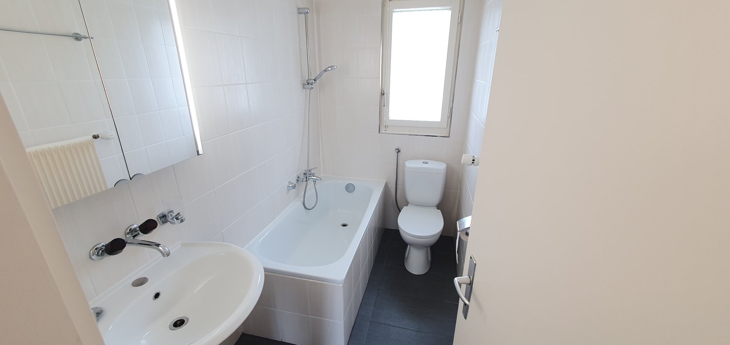 1 ½ pièces appartement au grenier