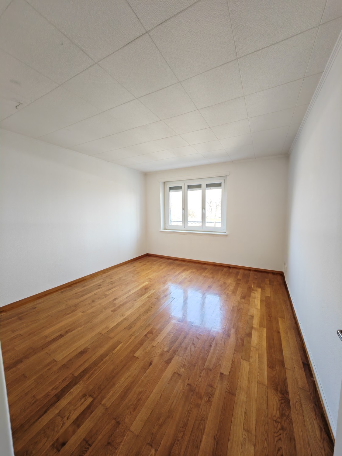 appartamento di 2 locali, foto 2 di 4
