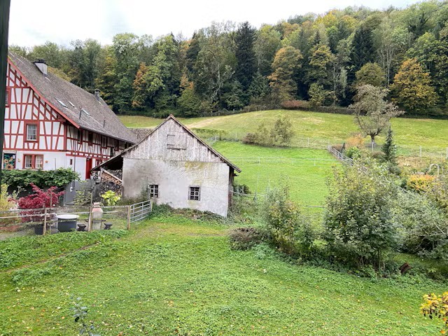 3 ½ Zimmer Wohnung