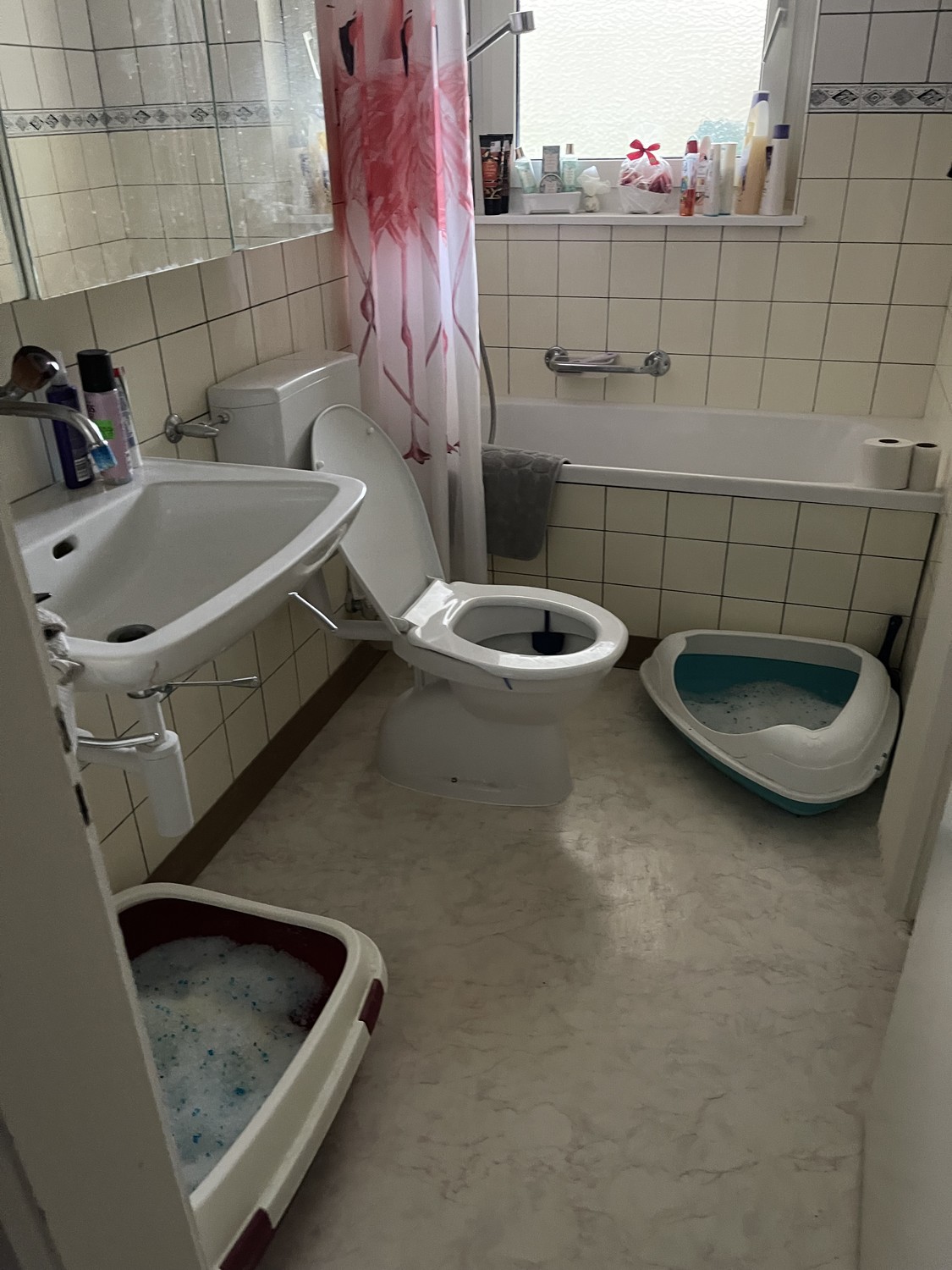 2 rooms apartment, photo 3 of 4