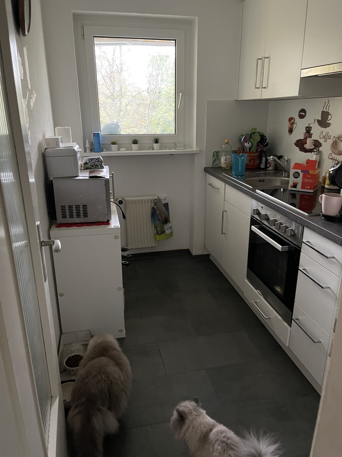 2 rooms apartment, photo 2 of 4