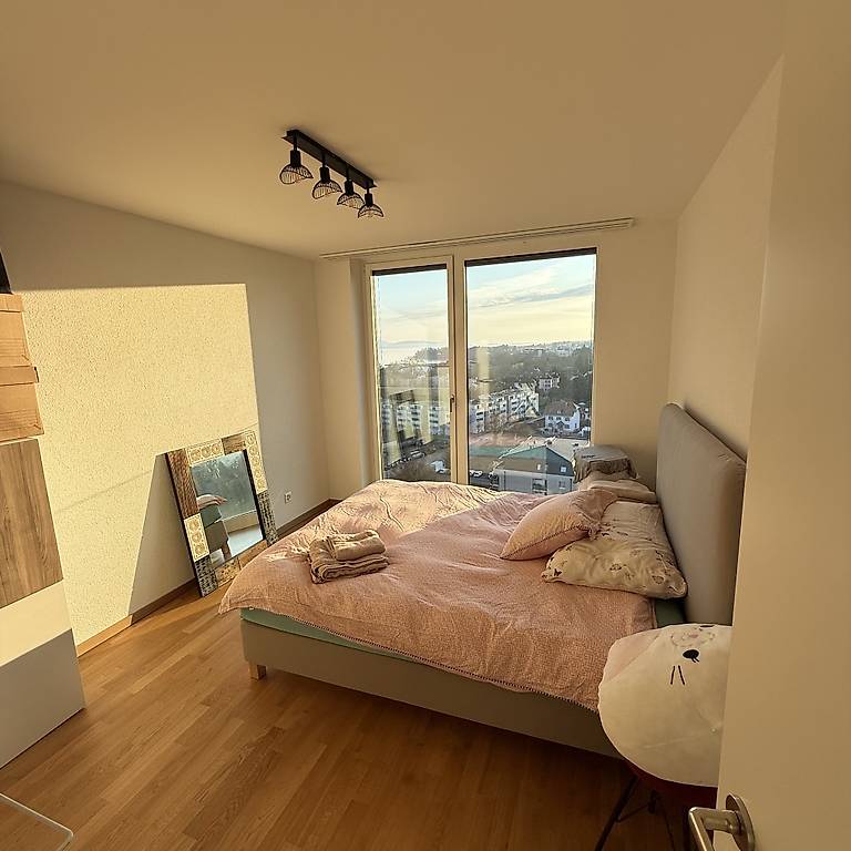 2 ½ Zimmer möbliertes Apartment