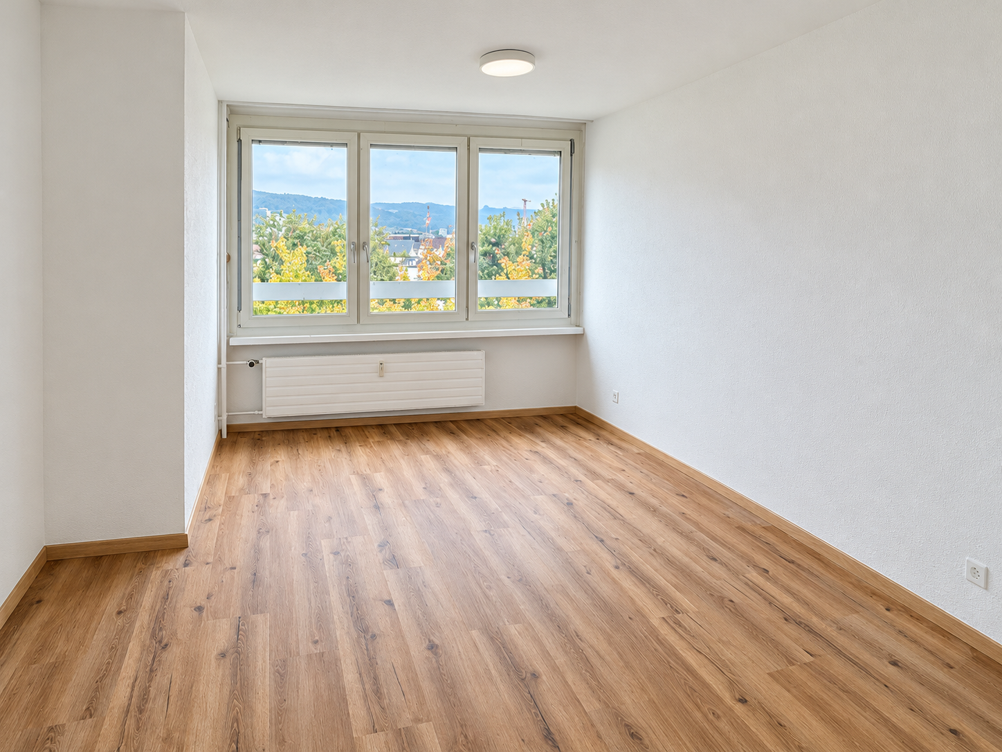 2 ½ room apartment