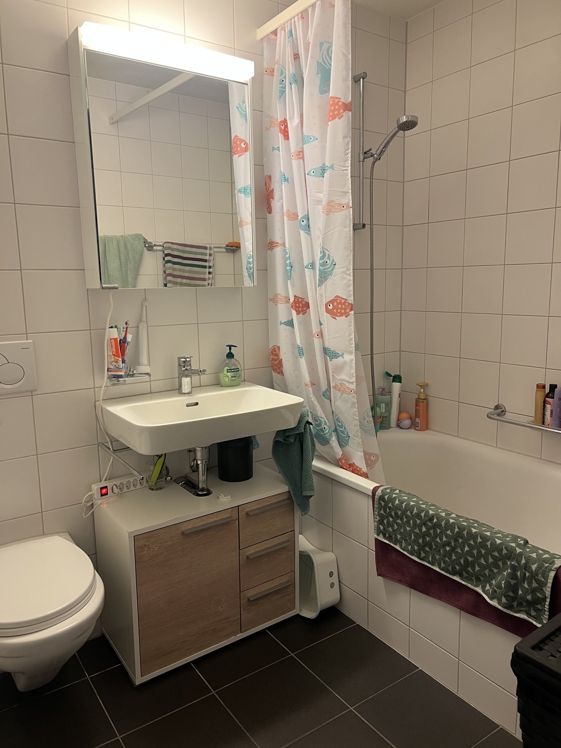 4 ½ rooms apartment