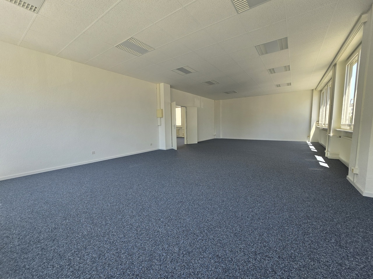 237m² office, photo 5 of 7