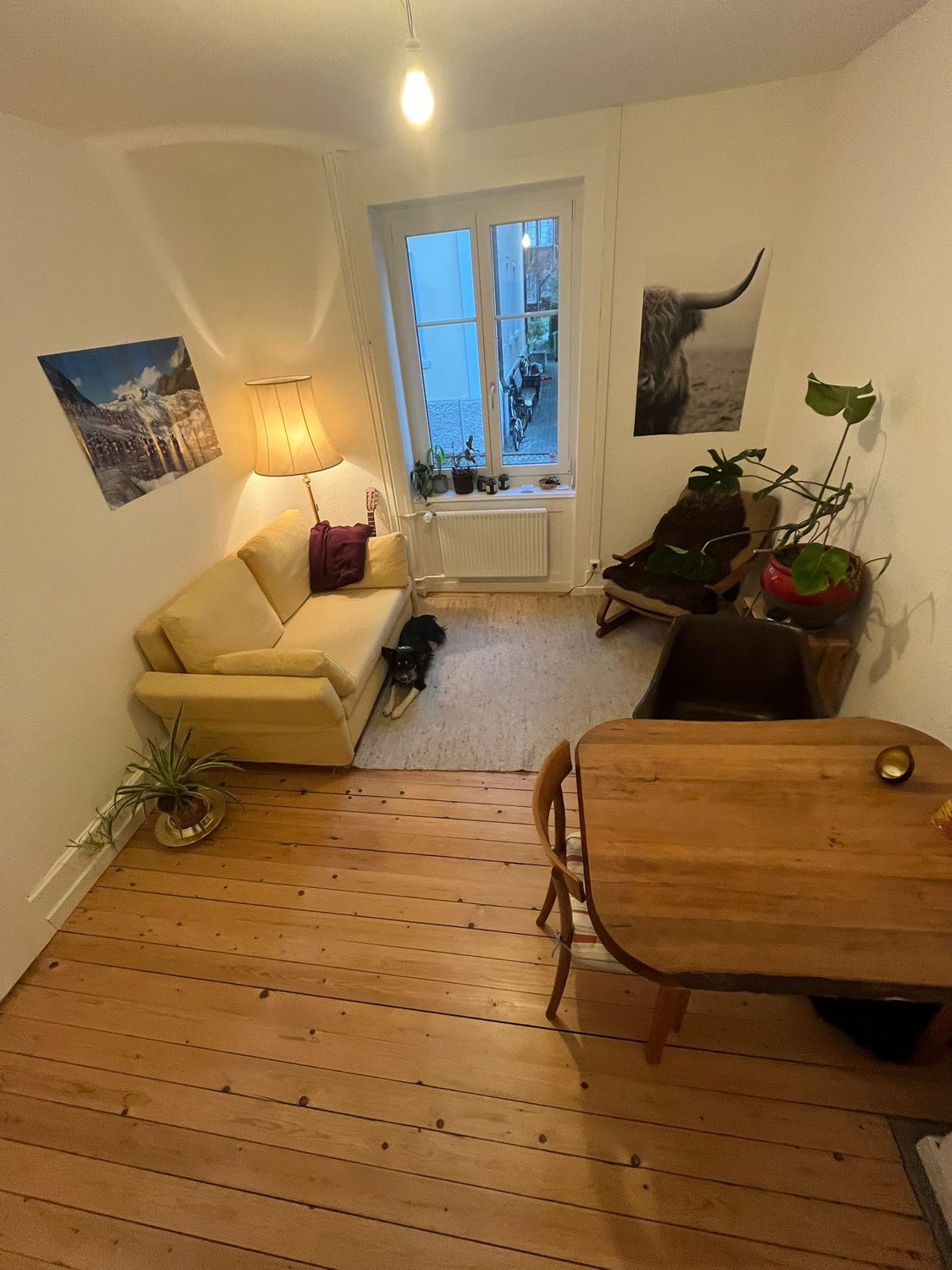 Room in a shared flat