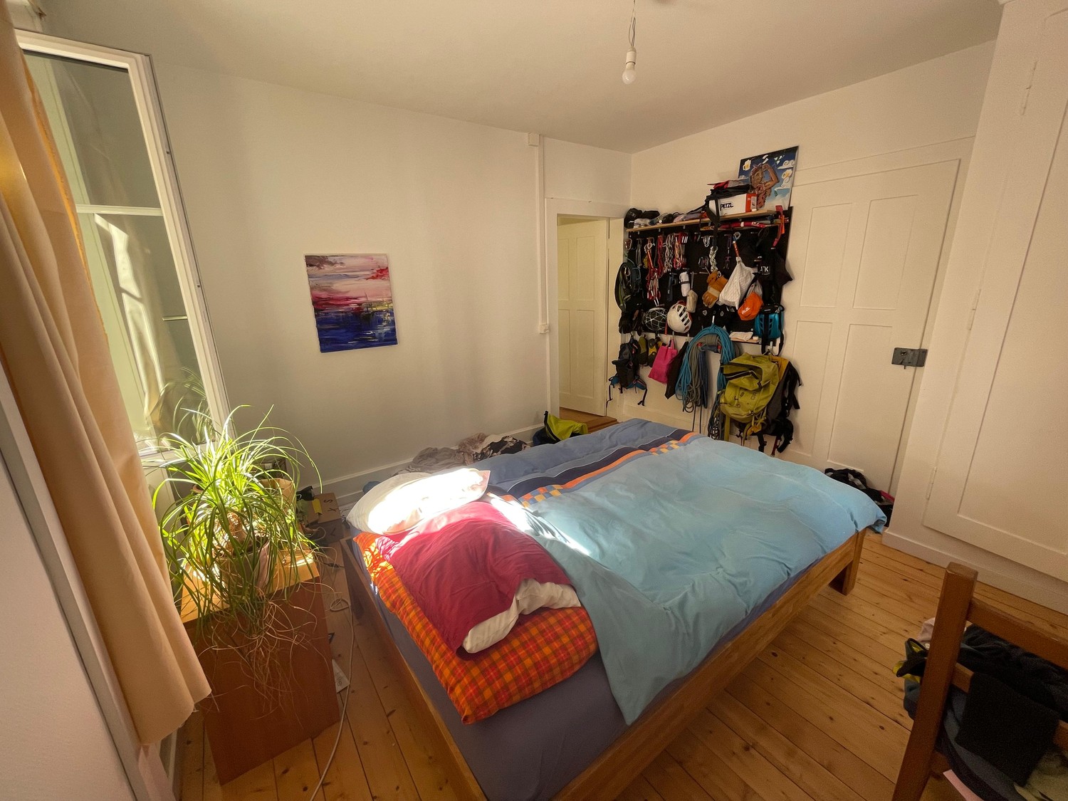 Room in a shared flat