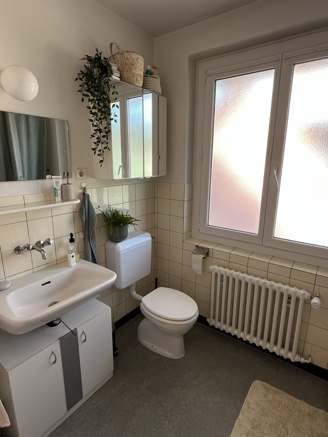 Room in a shared flat