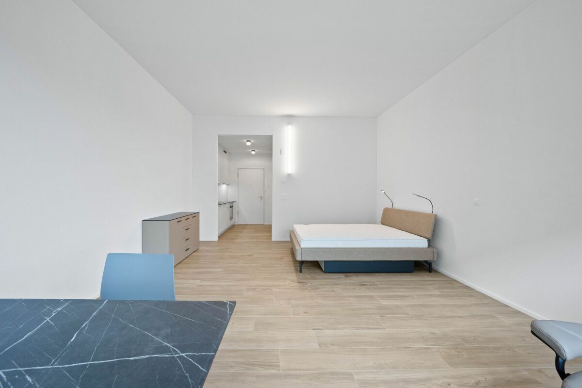 1 ½ rooms furnished flat