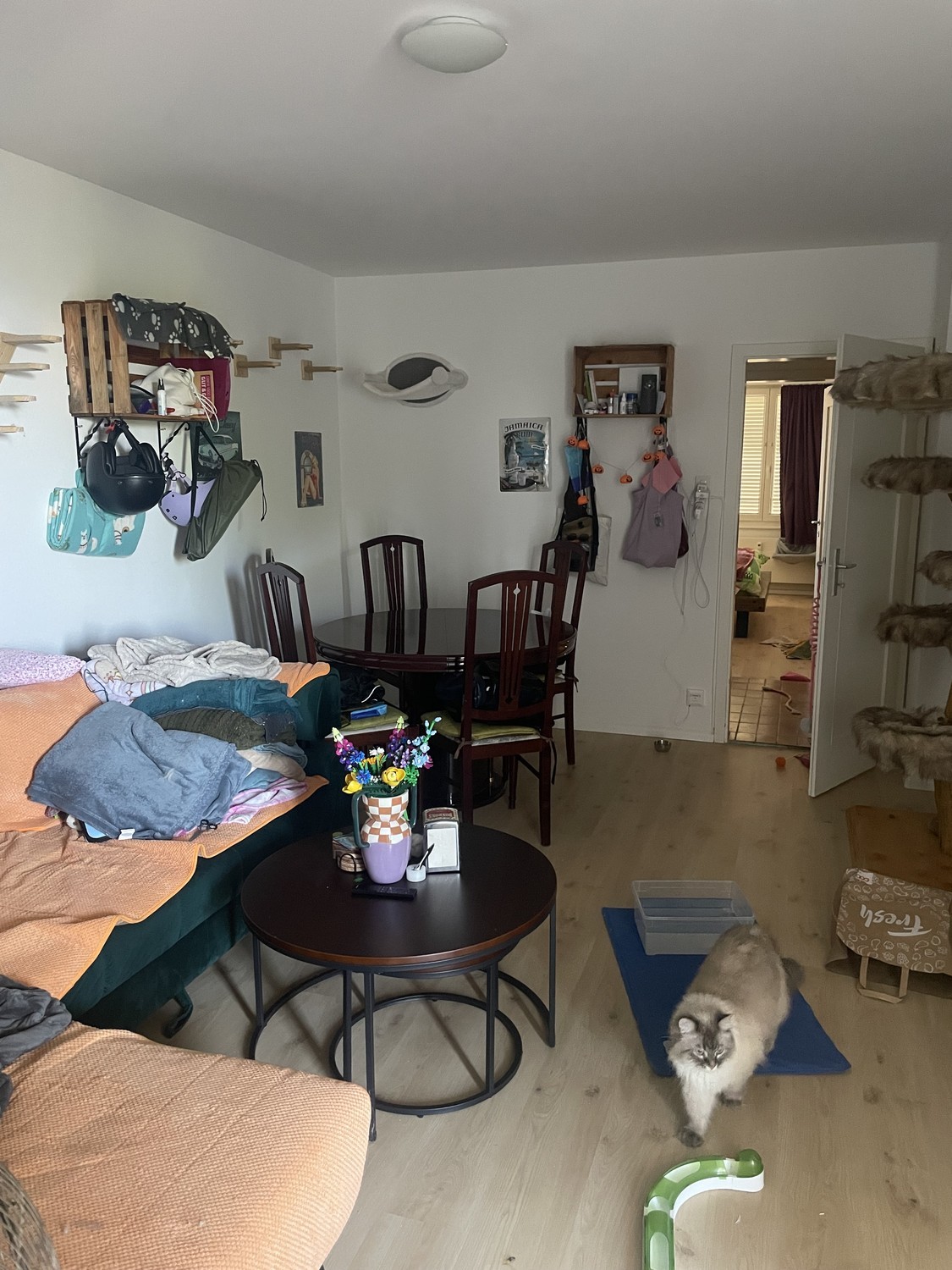 2 rooms apartment, photo 1 of 8