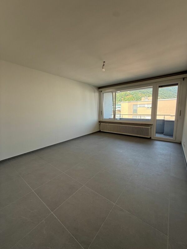 appartement de 1 ½ pièces