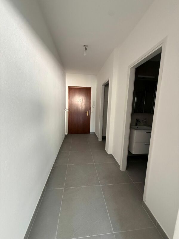 appartement de 1 ½ pièces