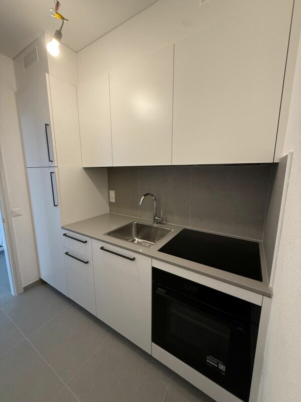 appartement de 1 ½ pièces