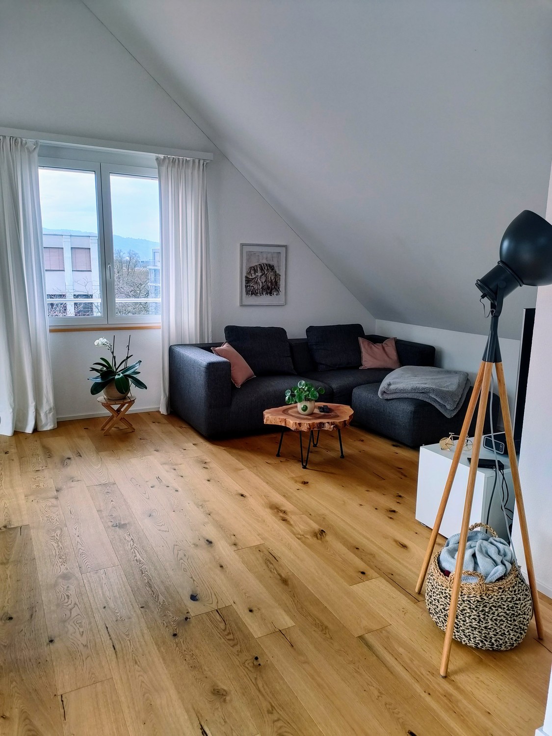 2 ½ rooms apartment