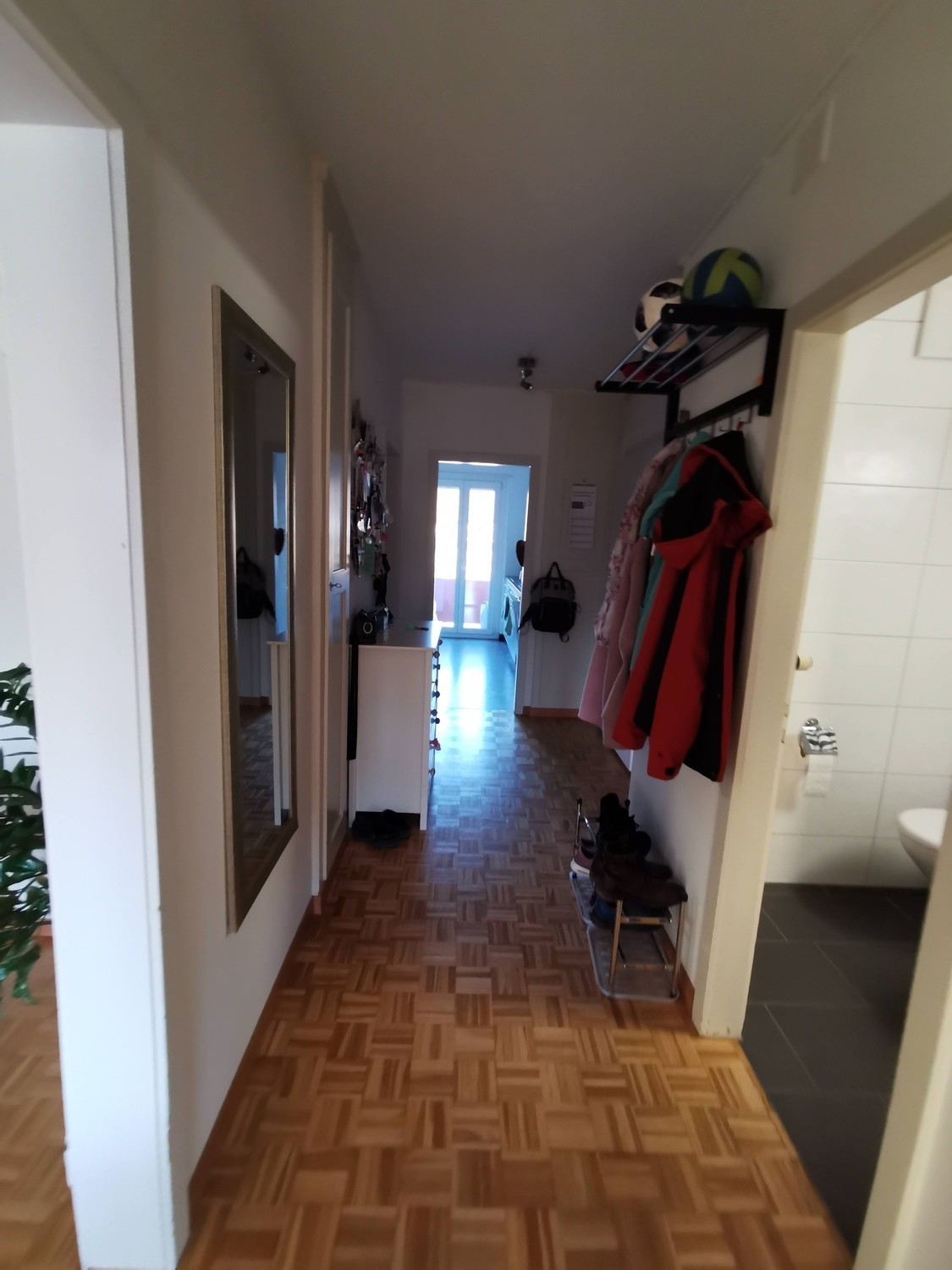 Room in a shared flat
