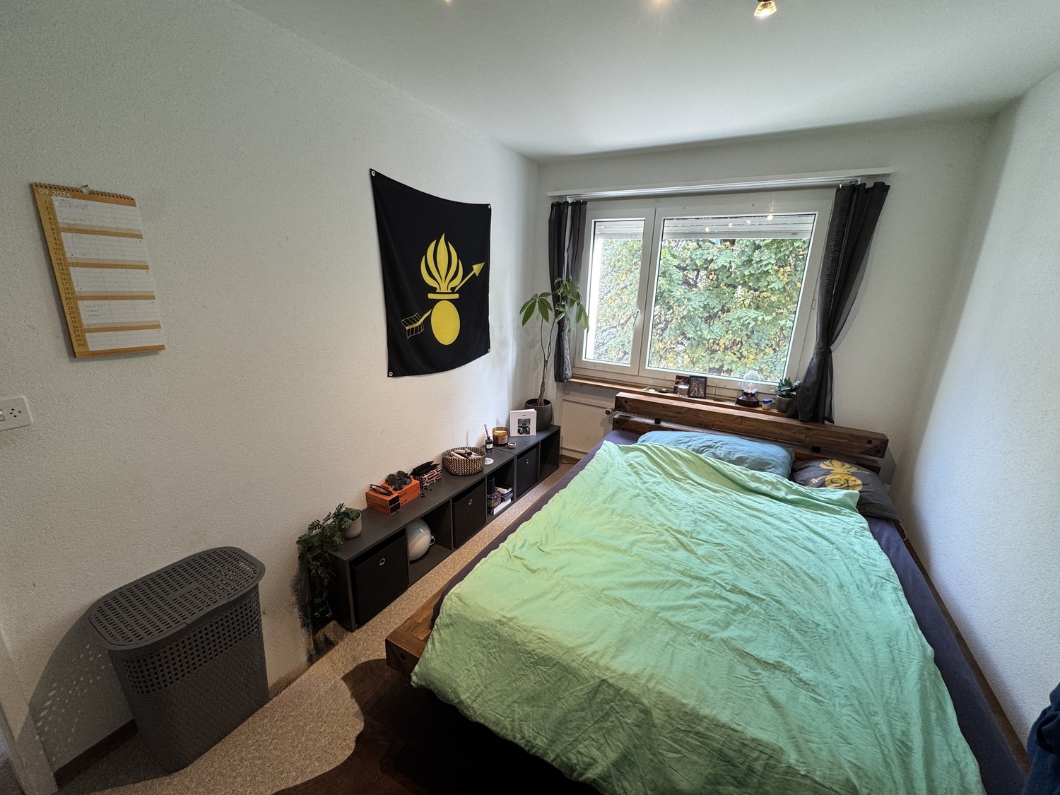 Room in a shared flat