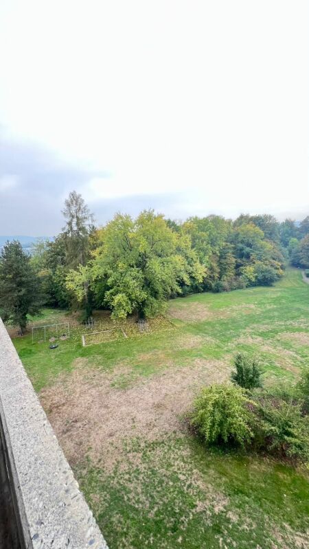 1 ½ rooms apartment
