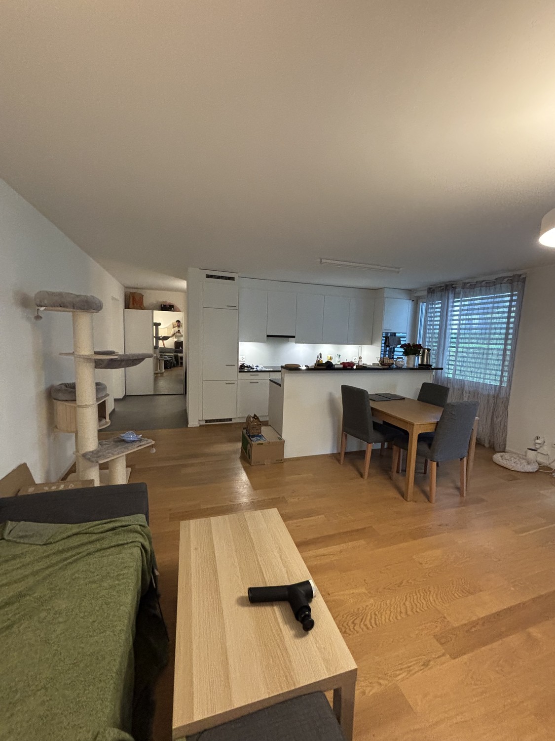 2 ½ Zimmer-Wohnung