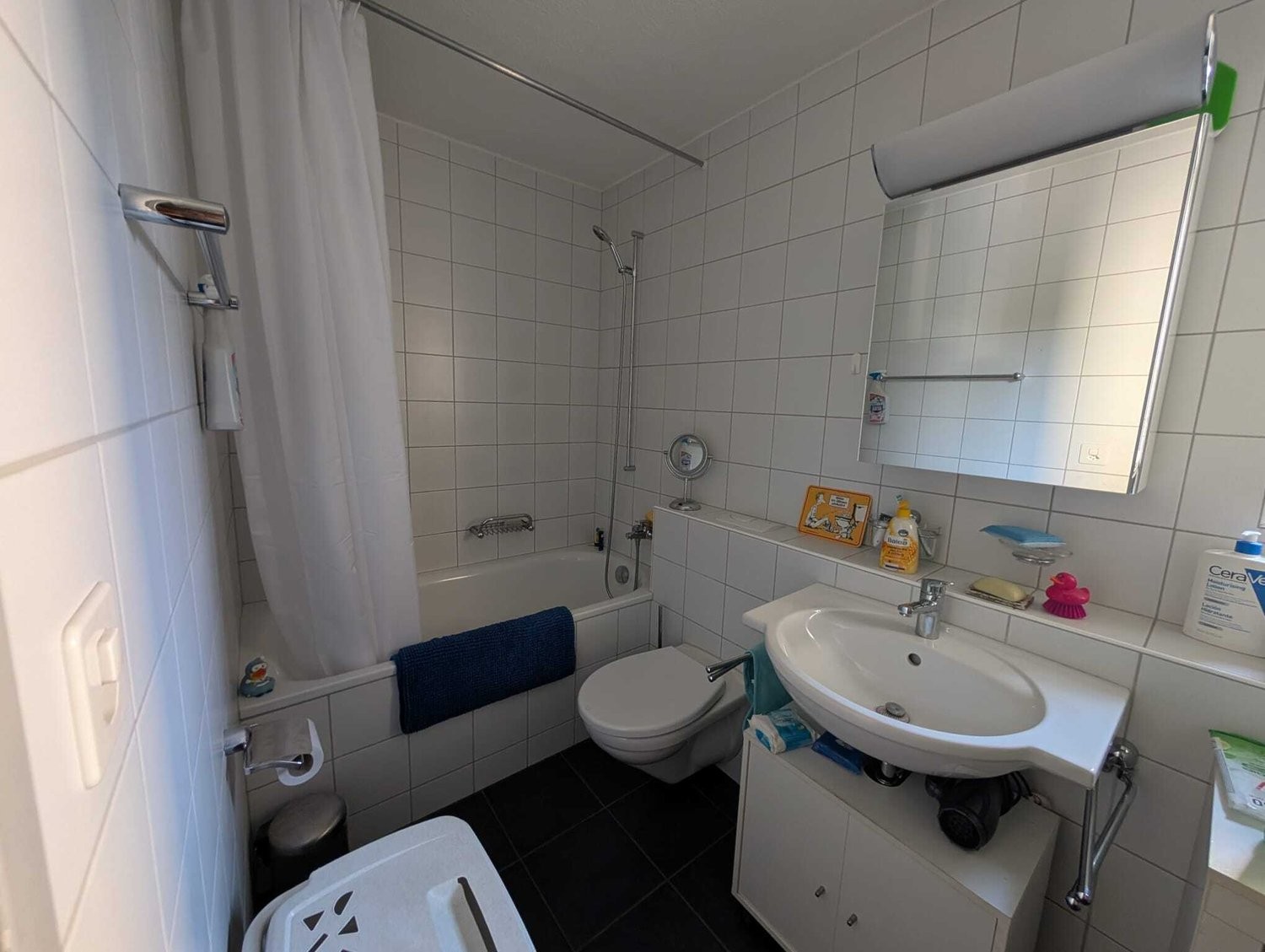 appartamento arredato di 2 ½ locali, foto 5 di 6