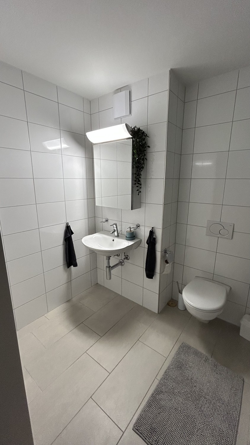 2 ½ rooms apartment, photo 5 of 5