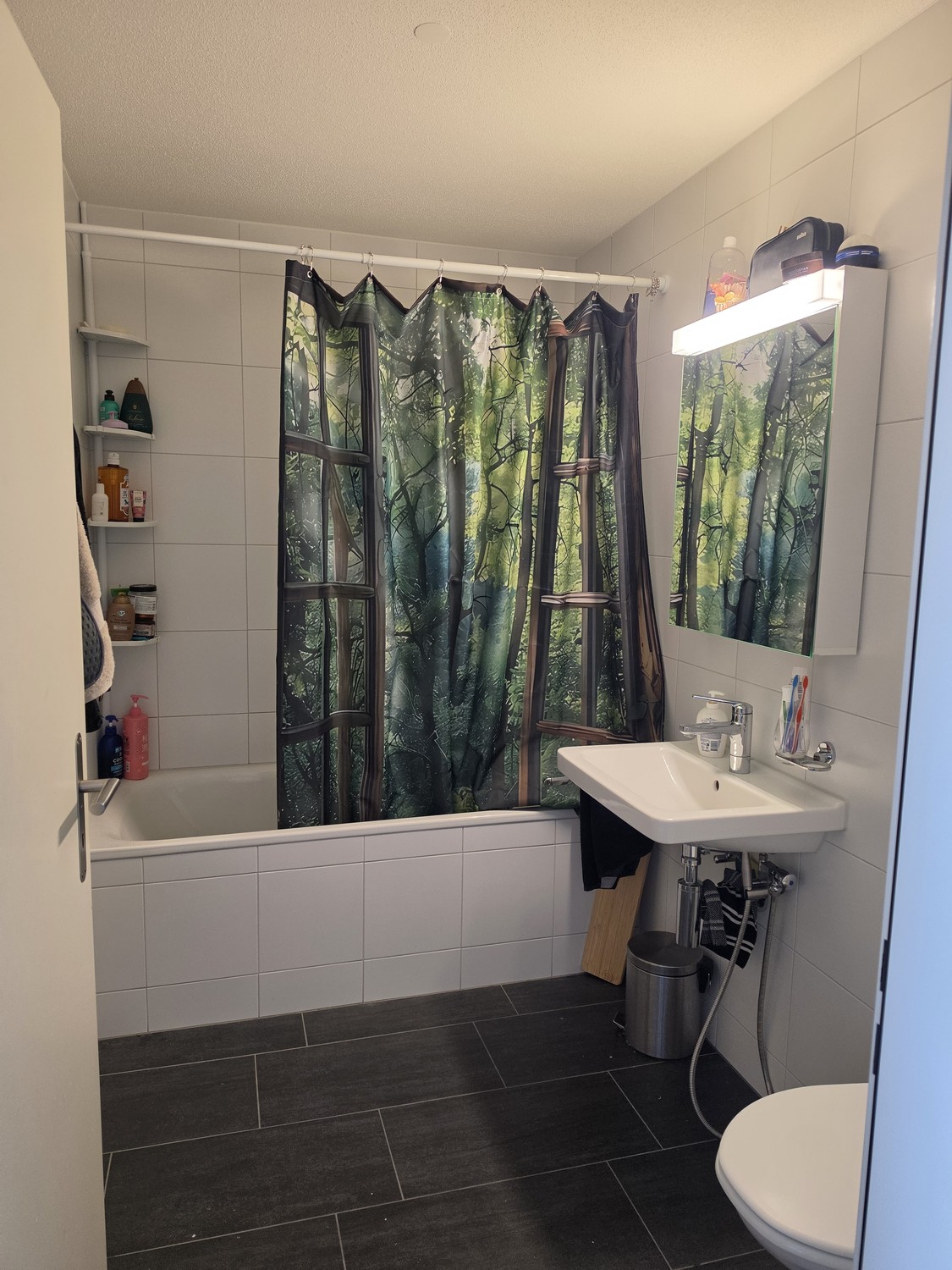 3 ½ rooms apartment, photo 4 of 10