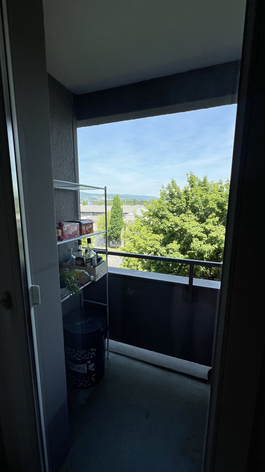 3 ½ rooms apartment, photo 6 of 7