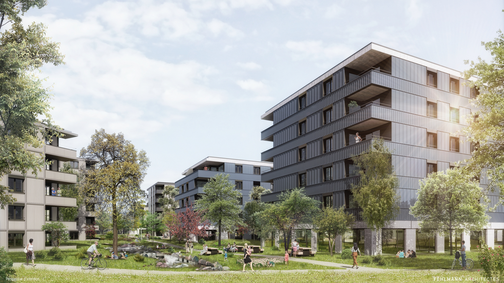 Appartamento di 2 ½ locali