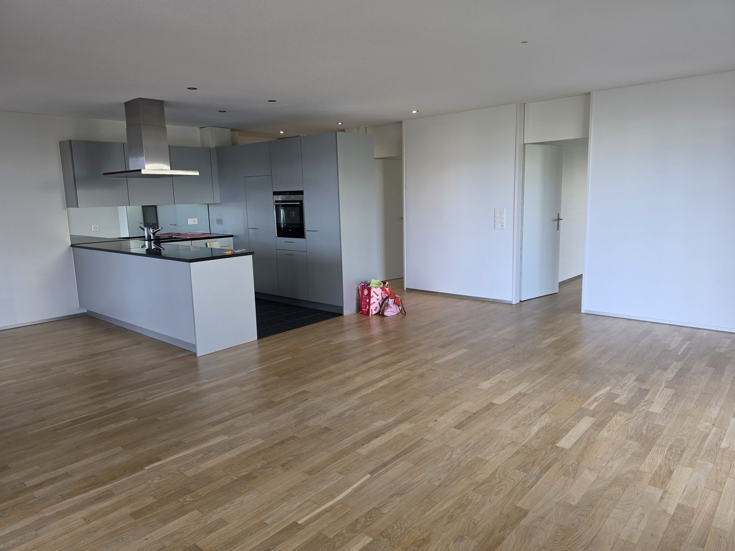 2 ½ rooms apartment