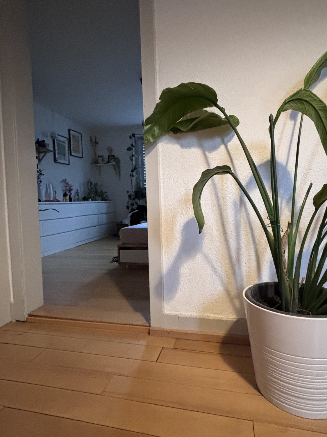 1 room single house, photo 7 of 7
