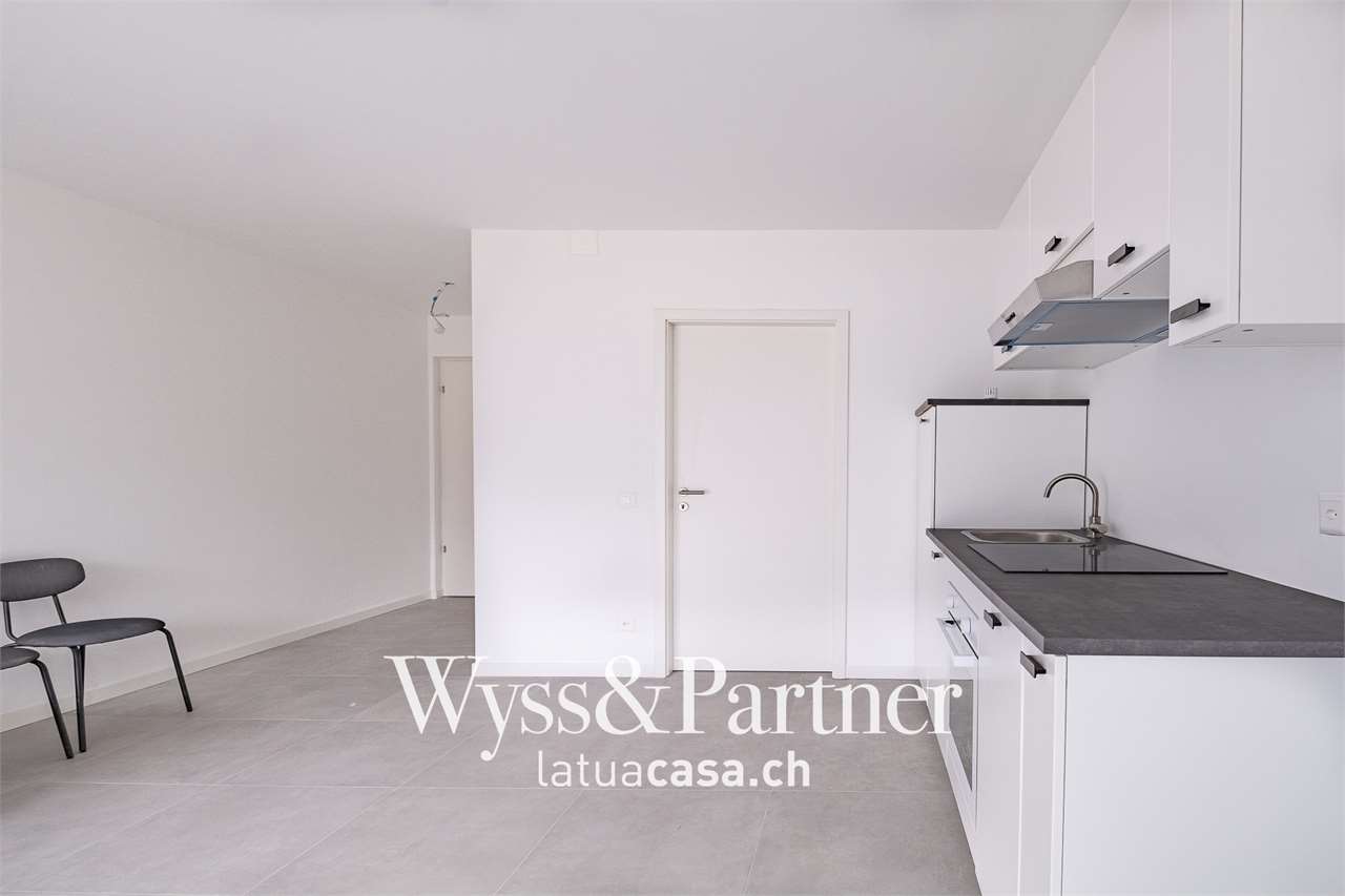 1 ½ rooms apartment (5)