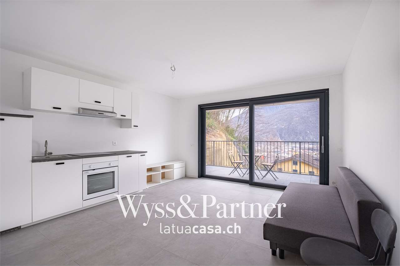 1 ½ rooms apartment (6)