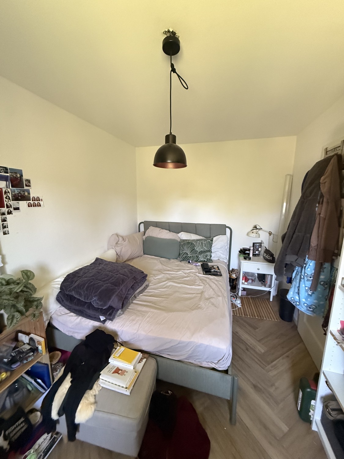 Room in a shared flat