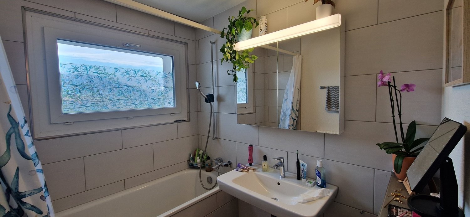 2 ½ rooms furnished flat