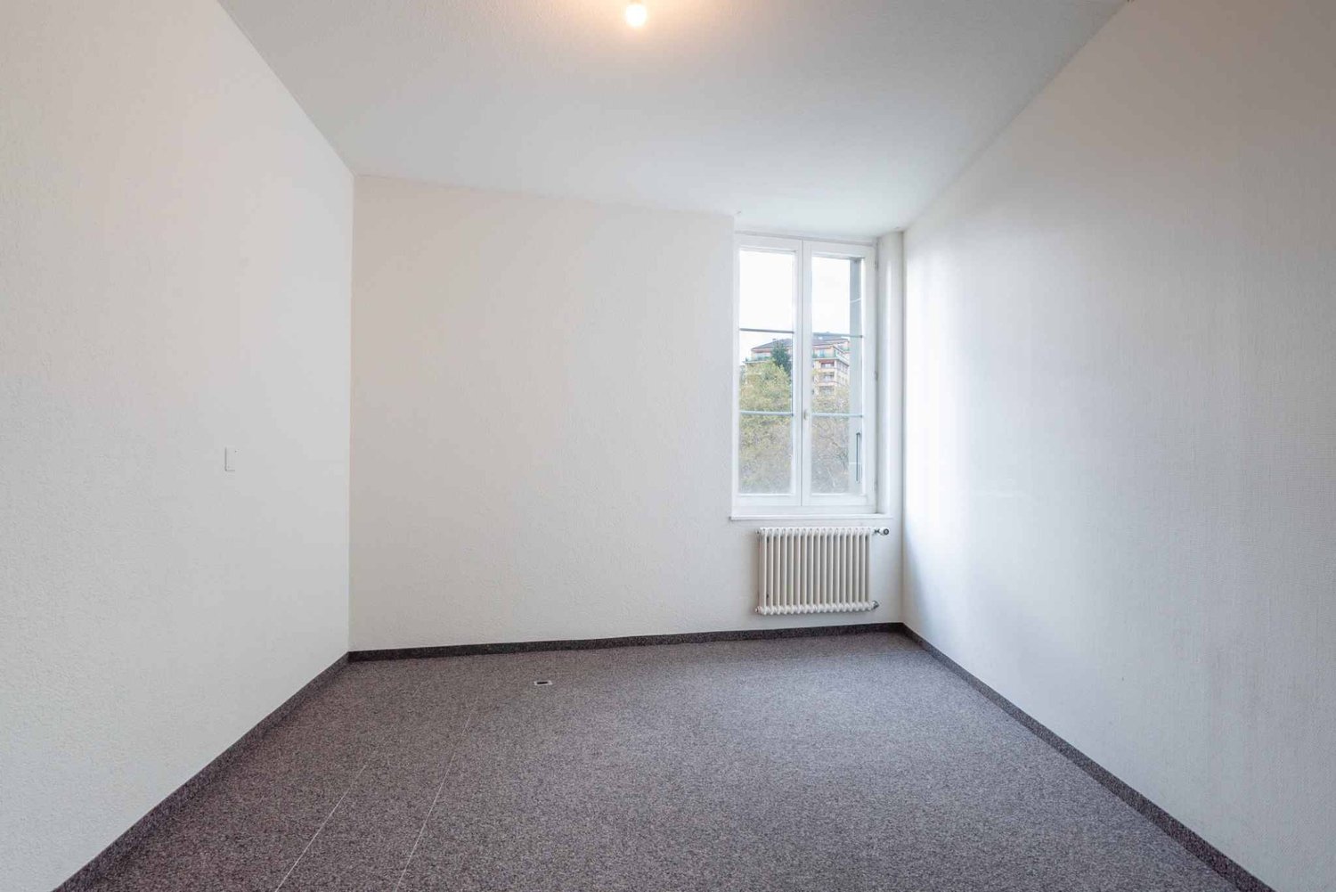 217m² office, photo 4 of 6