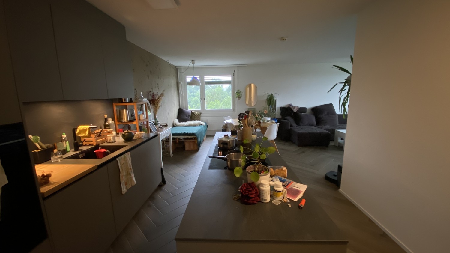 Room in a shared flat
