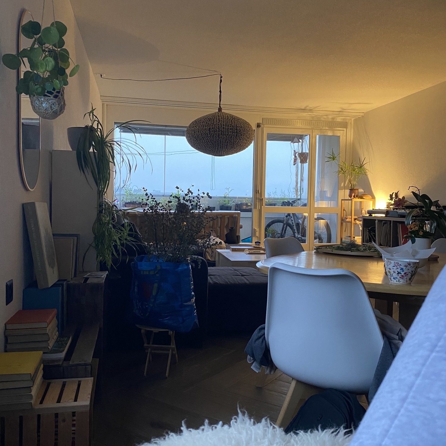 Room in a shared flat
