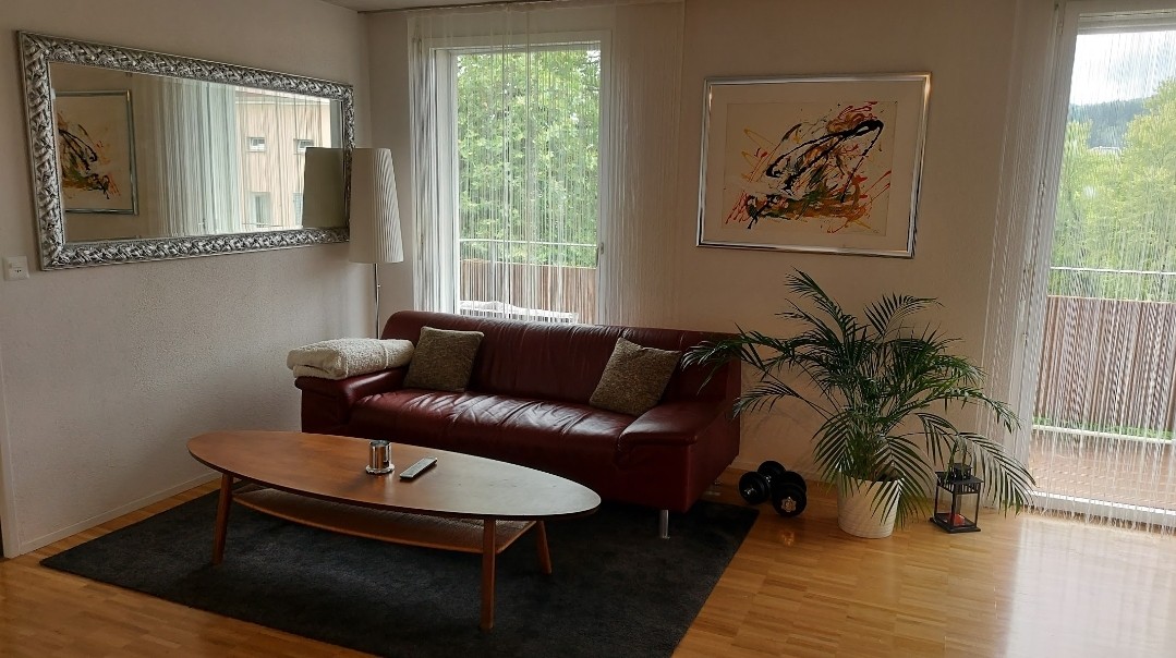 2 ½ rooms apartment