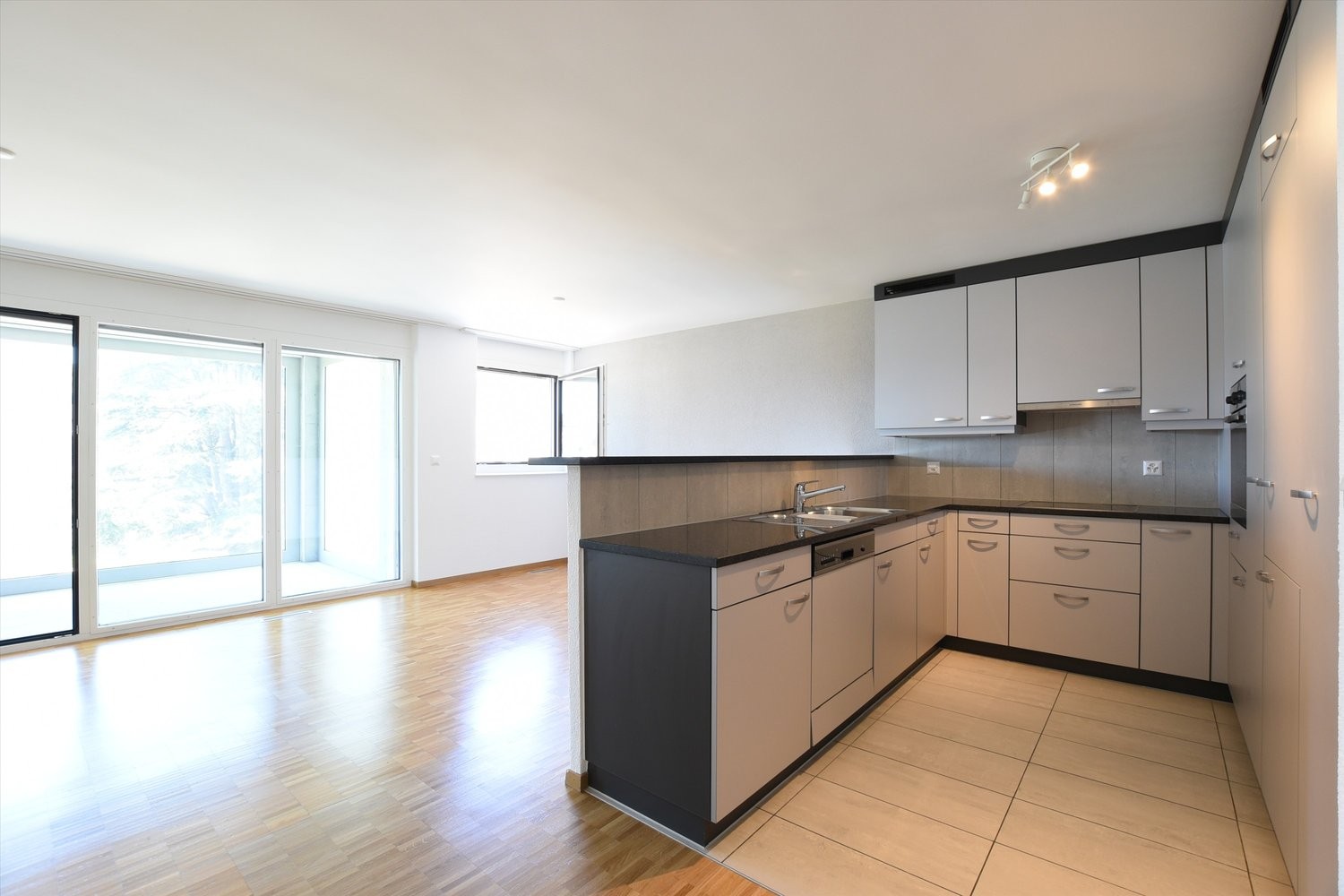 4 ½ rooms apartment